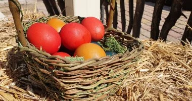 H�sv�ti wellness f�lpanzi�val 2026