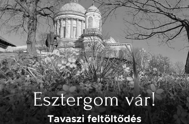 Hotel Adalbert - Boldog Meszlényi Zoltán Ház Esztergom Hotel Adalbert - Boldog Meszlényi Zoltán Ház Esztergom