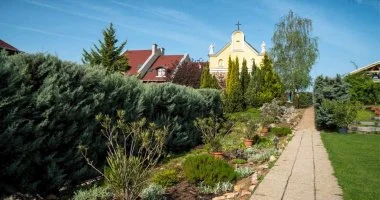  - Vakci a vros felett