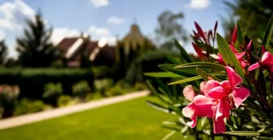 Szent Istv�n Hotel - Szenz�ci�s Maj�lis 37% kedvezm�nnyel (min. 2 �j) 