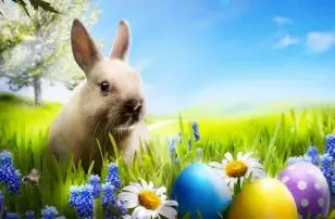 Szent Istvn Hotel Eger - Wellnessangebote zu Ostern Ungarn