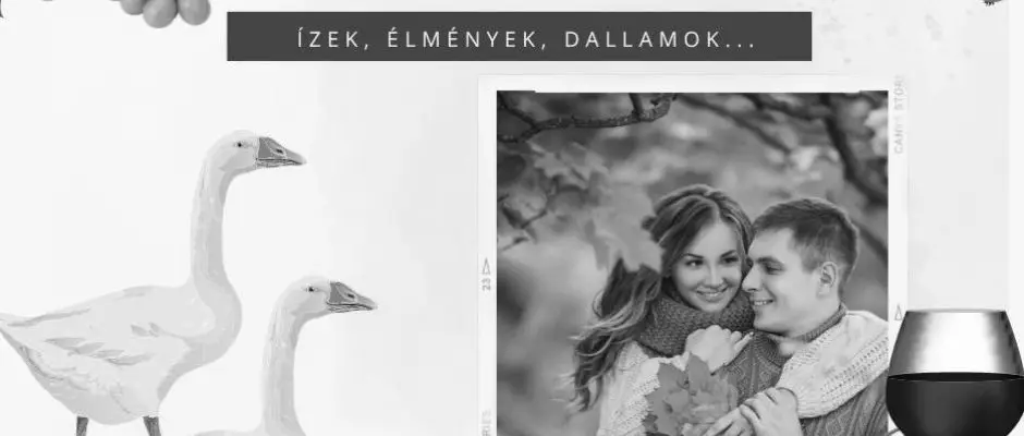 Szerencsem�k Panzi� Kehidakust�ny