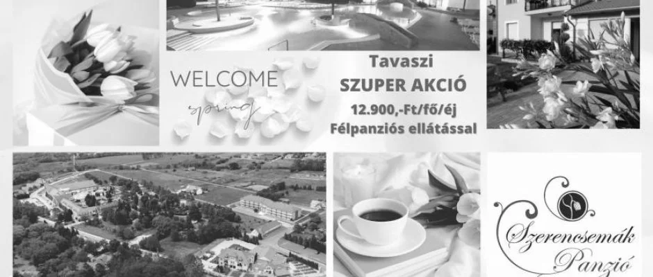 Szerencsem�k Panzi� Kehidakust�ny