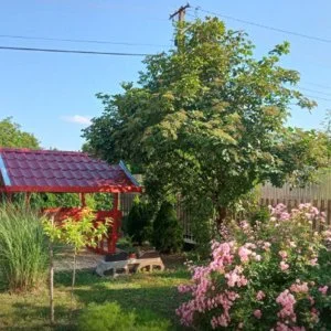 Szieszta Apartman Agárd - Kedvezményes ajánlat fürdőbelépővel (min. 2 éj)