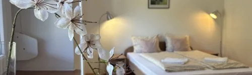 Szilva Ház