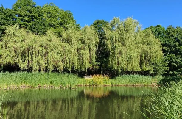 Szilva H�z Szilv�sv�rad