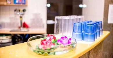 Wellness Hotel Szindb�d - Farsangi h�tv�ge (1 �jt�l)