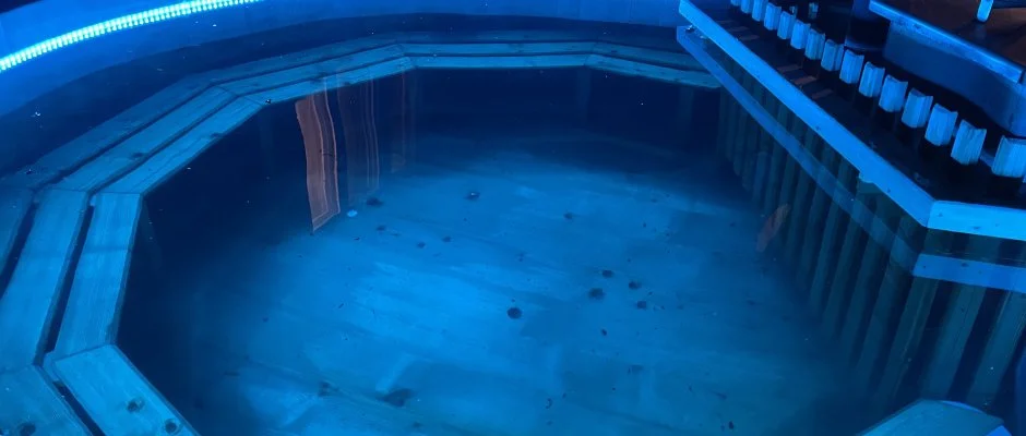 Tams Apartman Balatonfldvr