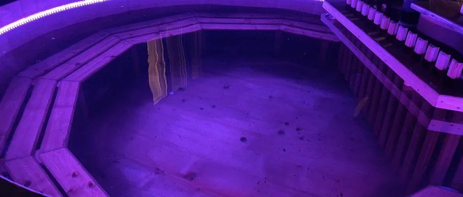 Tams Apartman Balatonfldvr