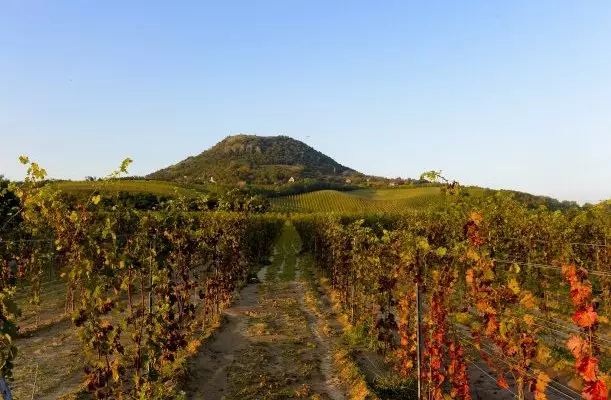 Hunguest Hotel Pelion Tapolca Hunguest Hotel Pelion Tapolca