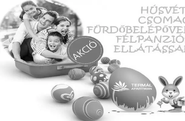 Terml Apartman Panzi Nyrbtor