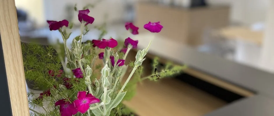 Svirg Terml Panzi Hajdnns