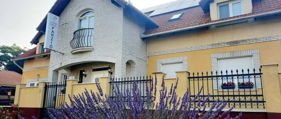 Svirg Terml Panzi Hajdnns