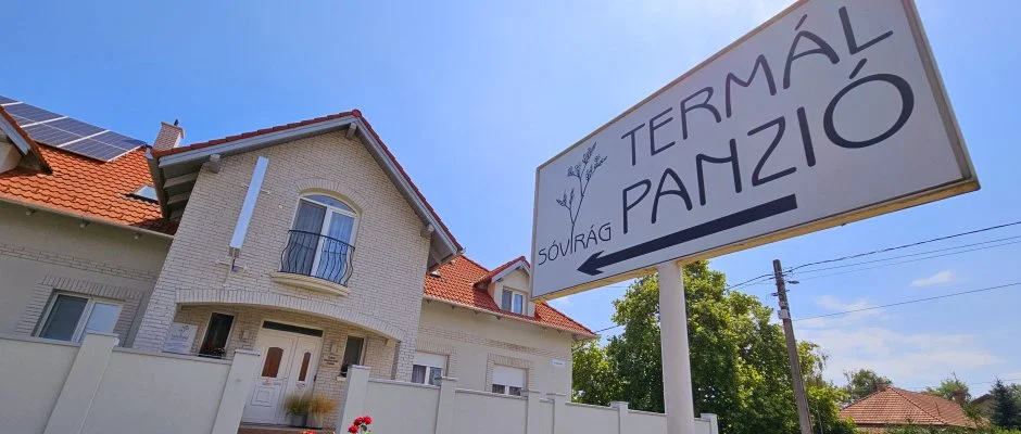 Svirg Terml Panzi Hajdnns