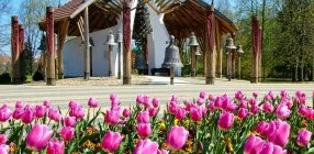 Hunguest Hotel Apollo - F�lpanzi�s Tavaszind�t� a Hunguest Hotel Apolloban