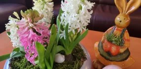 Hotel Belenus - H�sv�t