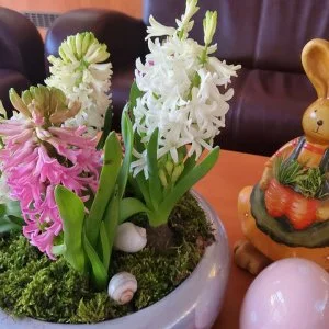 Belenus Thermalhotel Superior Zalakaros - Húsvét (min. 3 éj)