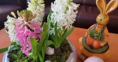 H�sv�t (min. 3 �j)