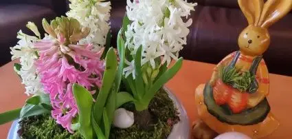 Hotel Belenus Zalakaros - Húsvéti hosszú hétvége Hotel Belenus Zalakaros - Húsvéti hosszú hétvége