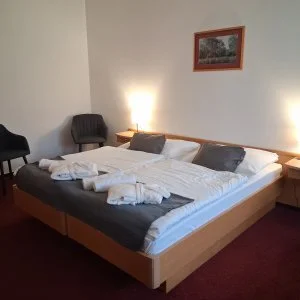 Thermal Hotel Tengelic Tengelic - Félpanziós ajánlat (1 éjtől)