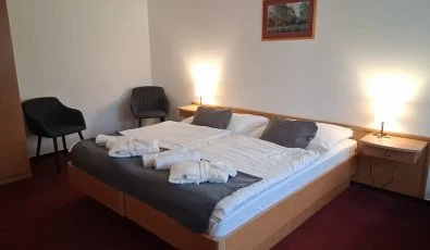 Thermal Hotel Tengelic