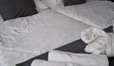 Thermal Hotel Tengelic