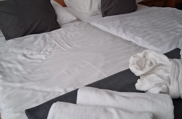 Thermal Hotel Tengelic