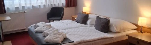 Thermal Hotel Tengelic 