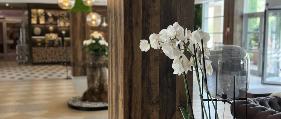 Thermal Hotel Visegrd