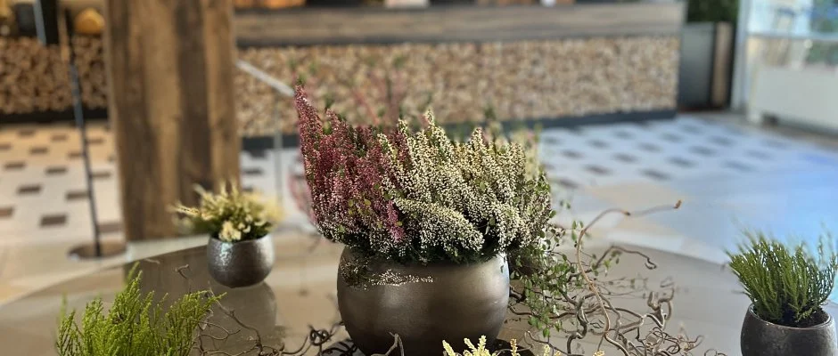 Thermal Hotel Visegrd