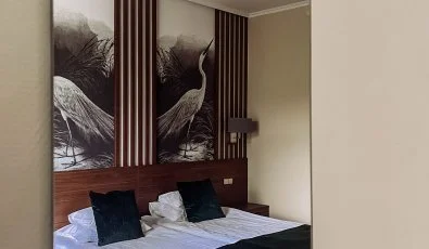 Thermal Hotel Visegrd