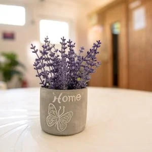  Igal - Október 23. (min. 4 éj)