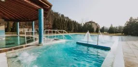 Therm�l Park Hotel - Vissza nem t�r�tend� �r f�lpanzi�val