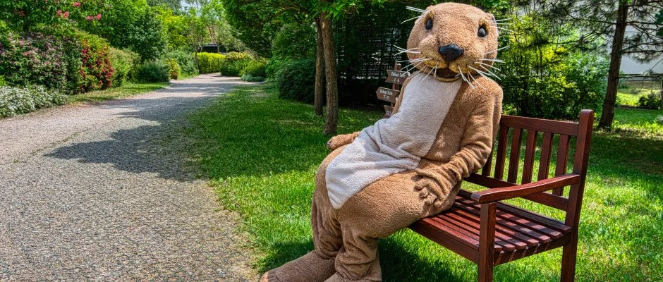 Tisza Balneum Hotel Tiszafred