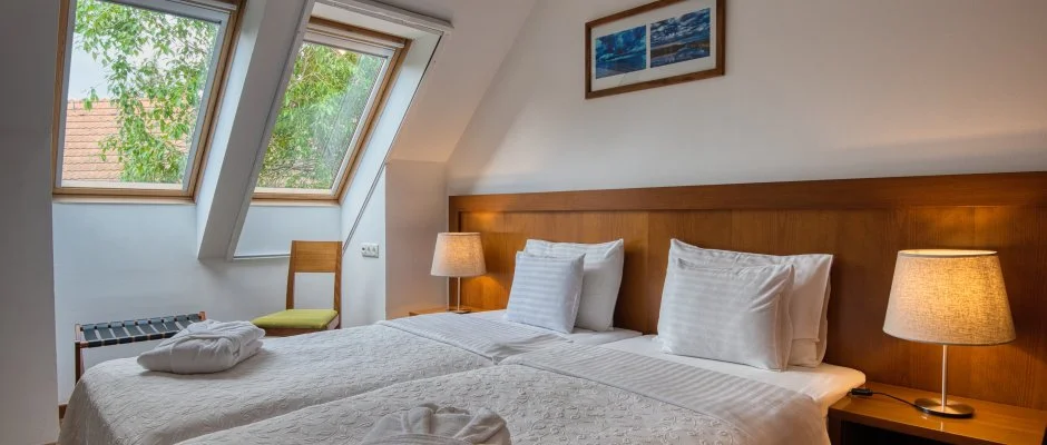 Tisza Balneum Hotel Tiszafred