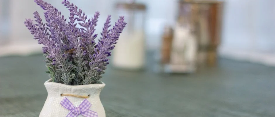 Tisza Sport Hotel Szeged