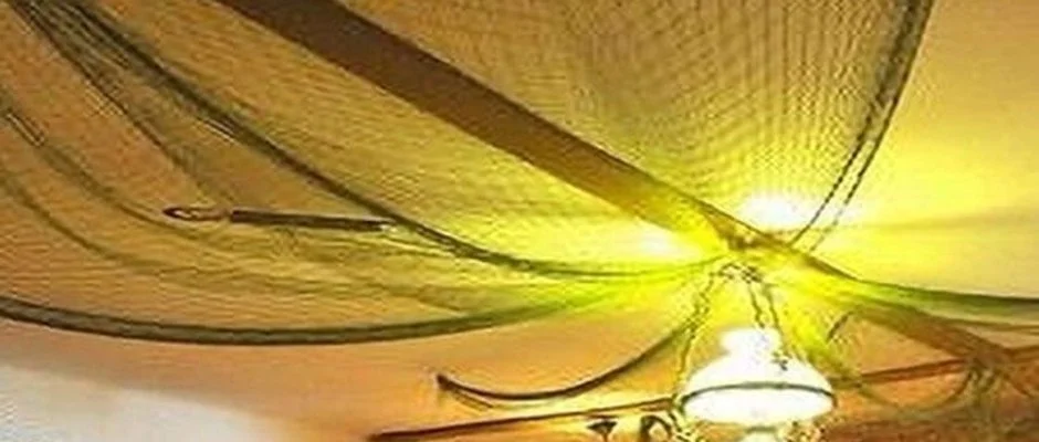 Tiszacsegei Halszcsrda s Panzi Tiszacsege