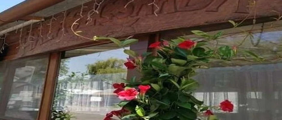 Tiszacsegei Halszcsrda s Panzi Tiszacsege