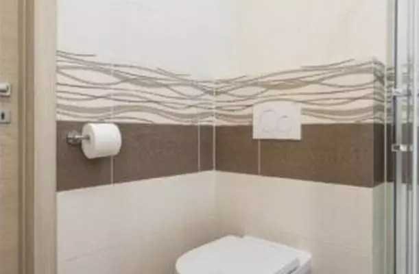 Tiszacsegei Halszcsrda s Panzi Tiszacsege