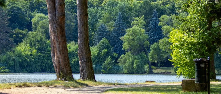 T-Part Panzi & Rendezvnykzpont Kszeg