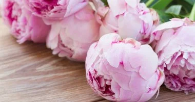 P�nk�sd (min. 2 �j)