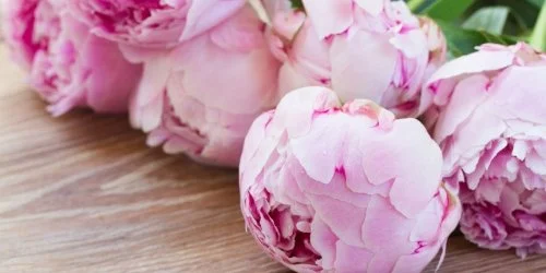 T� Wellness Hotel B�nk