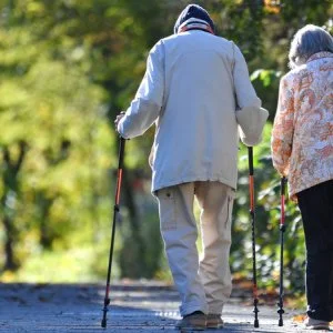 Tó Wellness Hotel Bánk - Nyugdíjasok wellness pihenése (1 éjtől)