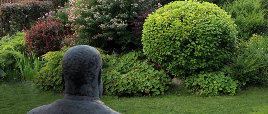 T Wellness Hotel Bnk