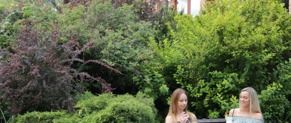 T Wellness Hotel Bnk