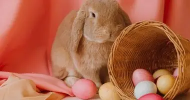 - Húsvéti kiruccanás