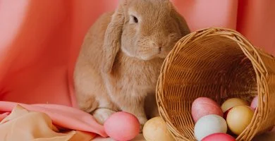 Húsvéti kiruccanás (min. 2 éj)