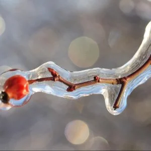 Zamárdi TOK Zamárdi - Téli pihenés (min. 2 éj)