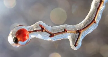 Téli pihenés (min. 2 éj)