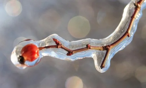 Zamárdi TOK Zamárdi - Téli pihenés